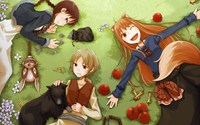 spice and wolf hentai pics data wallpaper spiceandwolf spice wolf